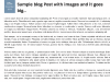Single Post Page Single Post Page