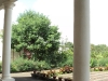 DSC00044 DSC00044
