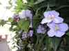 DSC00045 DSC00045