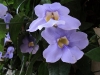 DSC00046 DSC00046