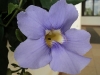 DSC00047 DSC00047