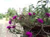 DSC00049 DSC00049